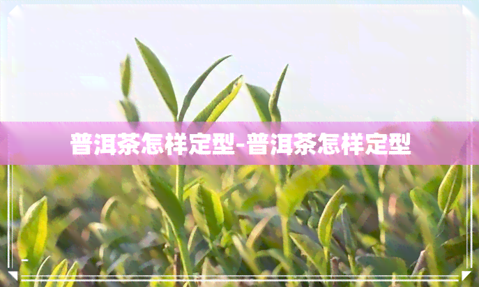 普洱茶怎样定型-普洱茶怎样定型