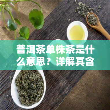 普洱茶单株茶是什么意思？详解其含义与特点