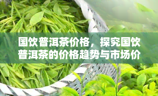 国饮普洱茶价格，探究国饮普洱茶的价格趋势与市场价值