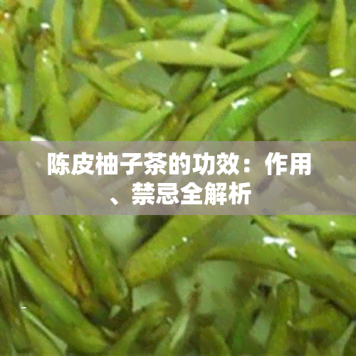 陈皮柚子茶的功效：作用、禁忌全解析