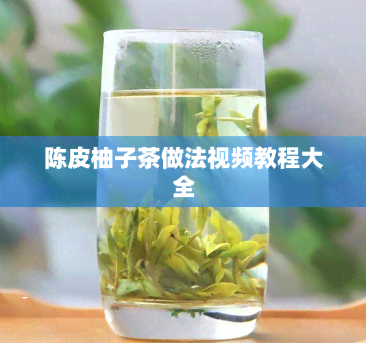 陈皮柚子茶做法视频教程大全