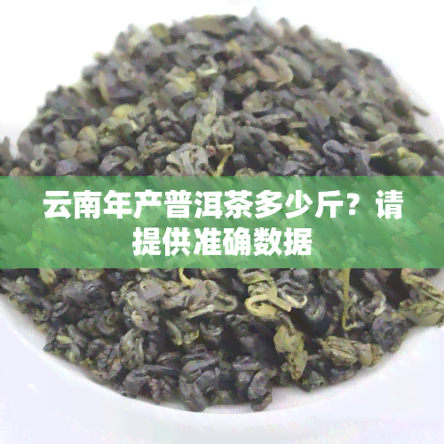 云南年产普洱茶多少斤？请提供准确数据