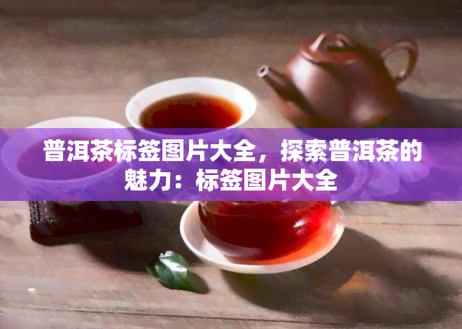 普洱茶标签图片大全，探索普洱茶的魅力：标签图片大全