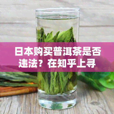 购买普洱茶是否违法？在知乎上寻求答案。