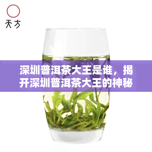 深圳普洱茶大王是谁，揭开深圳普洱茶大王的神秘面纱