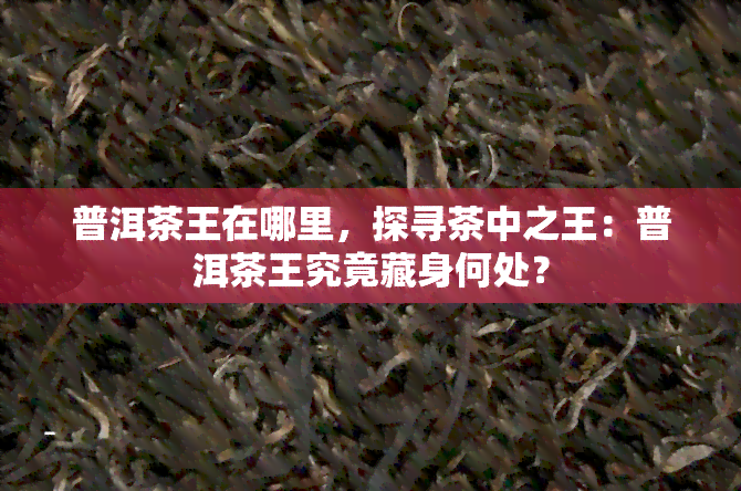 普洱茶王在哪里，探寻茶中之王：普洱茶王究竟藏身何处？