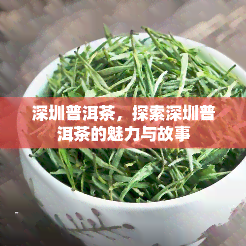 深圳普洱茶，探索深圳普洱茶的魅力与故事