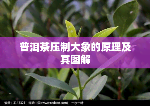 普洱茶压制大象的原理及其图解