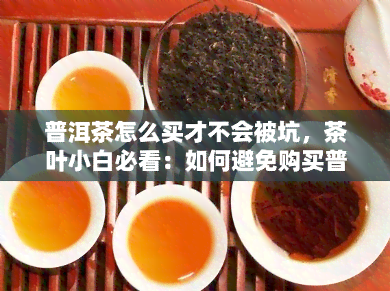 普洱茶怎么买才不会被坑，茶叶小白必看：如何避免购买普洱茶时被坑？