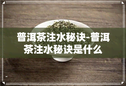 普洱茶注水秘诀-普洱茶注水秘诀是什么