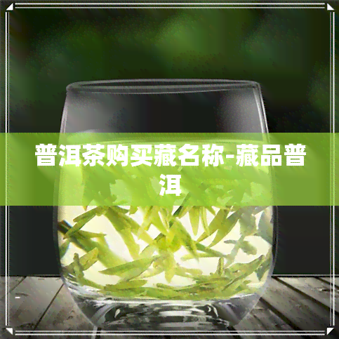 普洱茶购买藏名称-藏品普洱