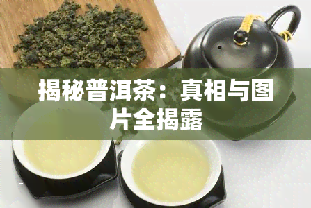 揭秘普洱茶：真相与图片全揭露