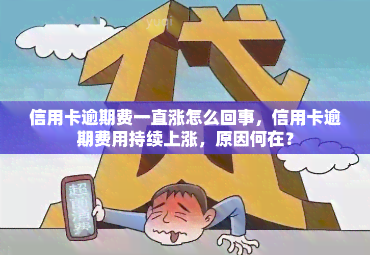 信用卡逾期费一直涨怎么回事，信用卡逾期费用持续上涨，原因何在？