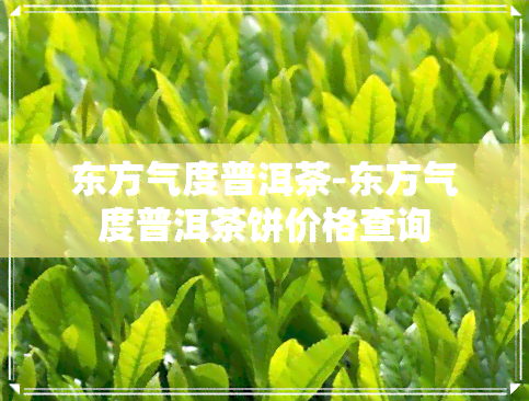 东方气度普洱茶-东方气度普洱茶饼价格查询