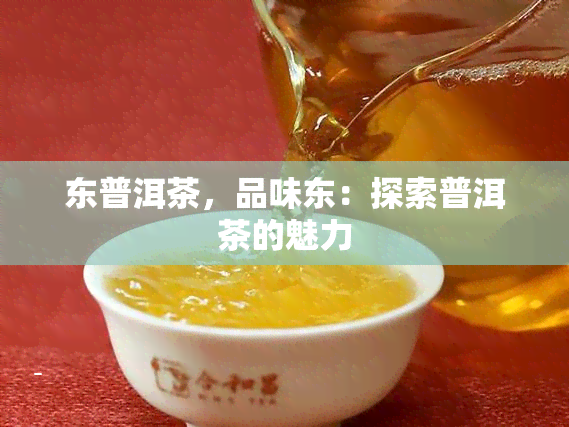 东普洱茶，品味东：探索普洱茶的魅力