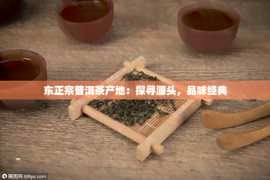 东正宗普洱茶产地：探寻源头，品味经典