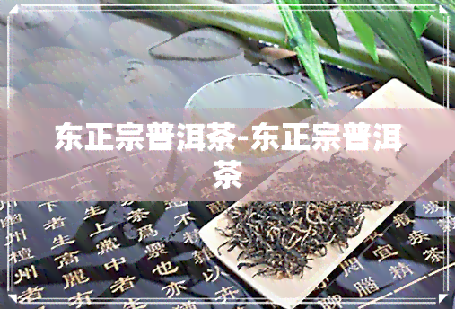 东正宗普洱茶-东正宗普洱茶