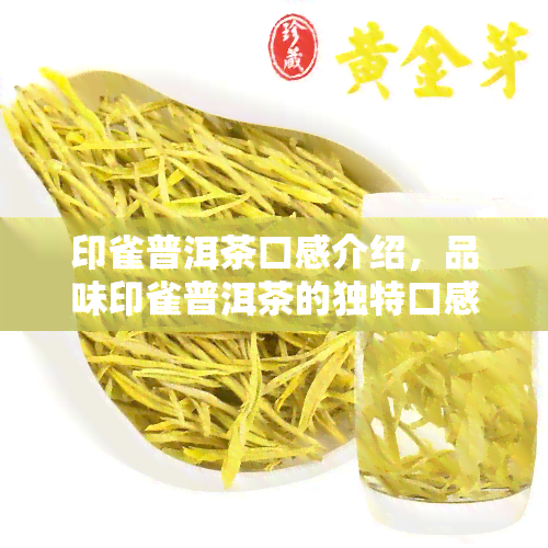 印雀普洱茶口感介绍，品味印雀普洱茶的独特口感