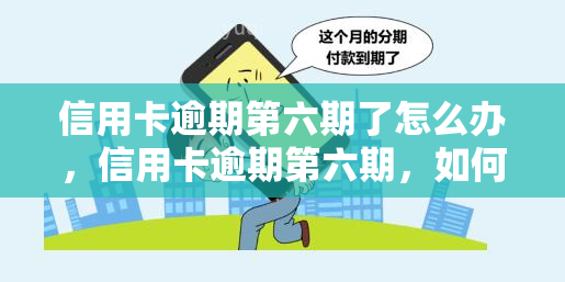 信用卡逾期第六期了怎么办，信用卡逾期第六期，如何应对并解决？