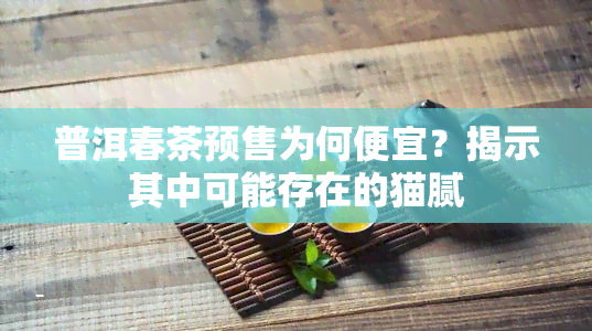 普洱春茶预售为何便宜？揭示其中可能存在的猫腻