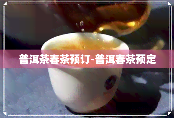 普洱茶春茶预订-普洱春茶预定