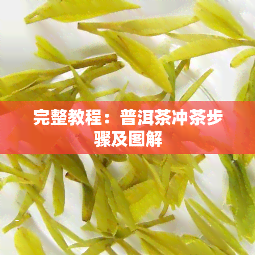 完整教程：普洱茶冲茶步骤及图解