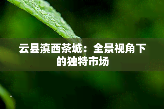 云县滇西茶城：全景视角下的独特市场