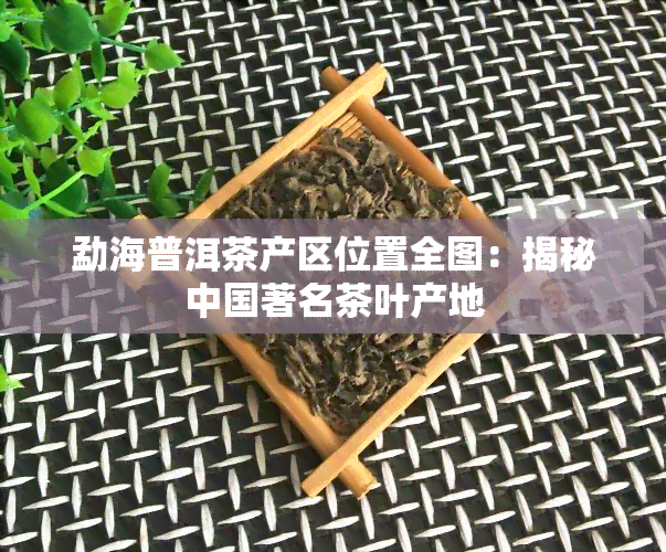 勐海普洱茶产区位置全图：揭秘中国著名茶叶产地