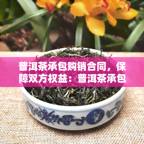 普洱茶承包购销合同，保障双方权益：普洱茶承包购销合同本