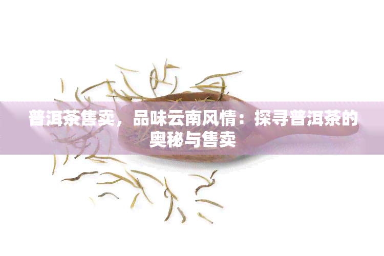 普洱茶售卖，品味云南风情：探寻普洱茶的奥秘与售卖