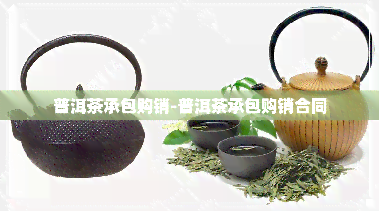 普洱茶承包购销-普洱茶承包购销合同