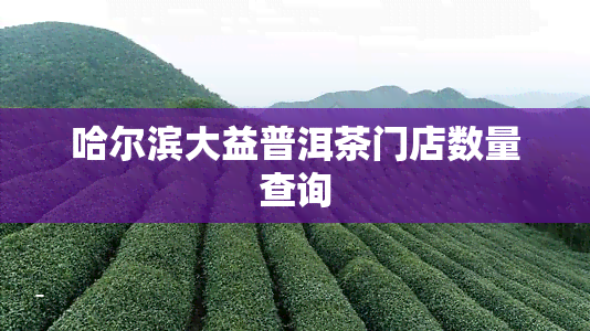 哈尔滨大益普洱茶门店数量查询