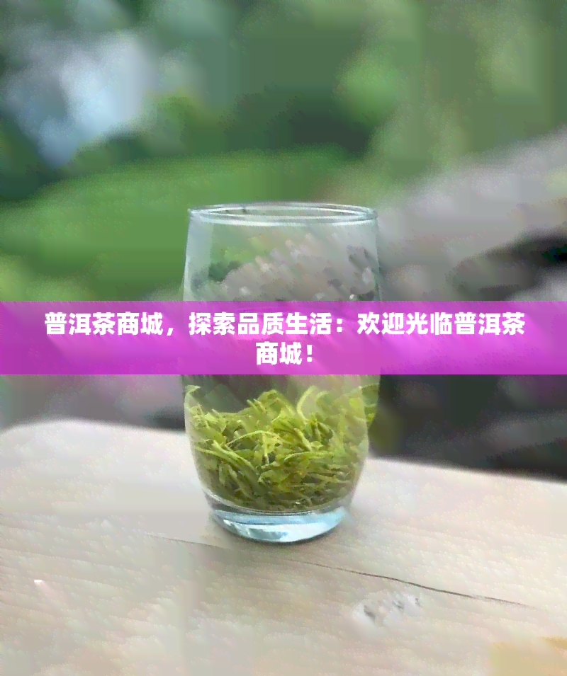 普洱茶商城，探索品质生活：欢迎光临普洱茶商城！