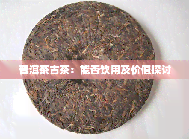 普洱茶古茶：能否饮用及价值探讨