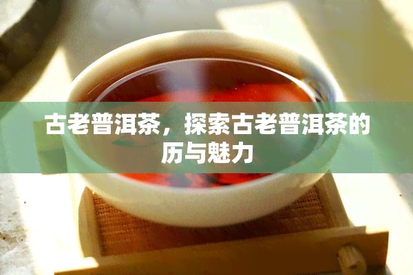 古老普洱茶，探索古老普洱茶的历与魅力