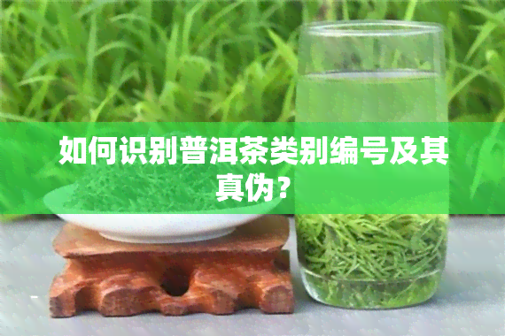 如何识别普洱茶类别编号及其真伪？