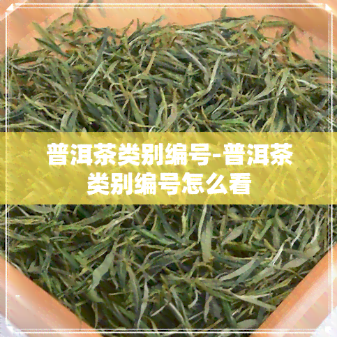 普洱茶类别编号-普洱茶类别编号怎么看