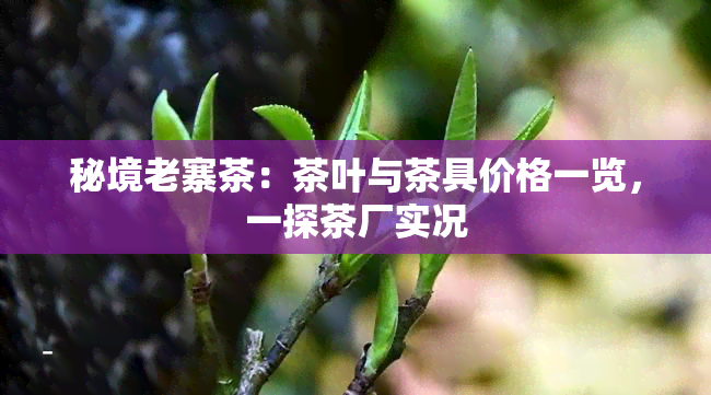 秘境老寨茶：茶叶与茶具价格一览，一探茶厂实况