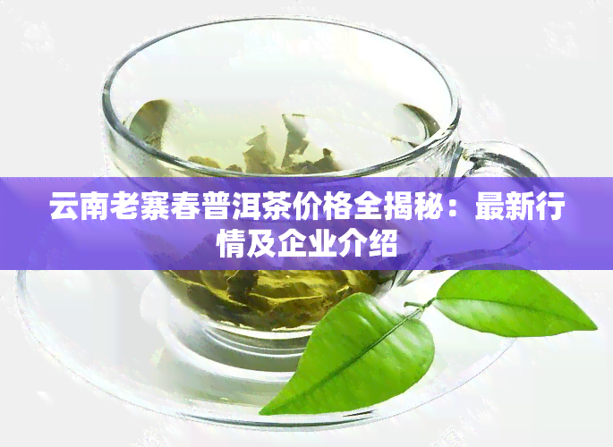 云南老寨春普洱茶价格全揭秘：最新行情及企业介绍