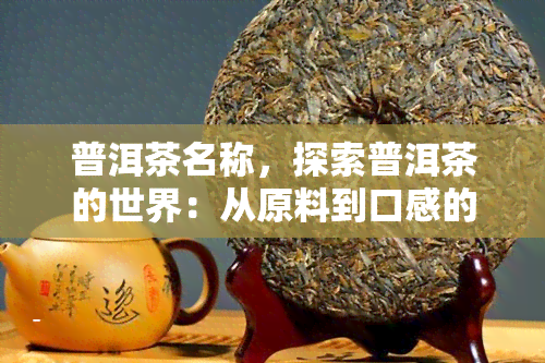 普洱茶名称，探索普洱茶的世界：从原料到口感的全面解析
