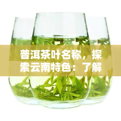 普洱茶叶名称，探索云南特色：了解普洱茶叶的种类和口感