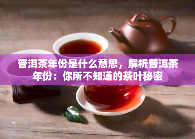 普洱茶年份是什么意思，解析普洱茶年份：你所不知道的茶叶秘密