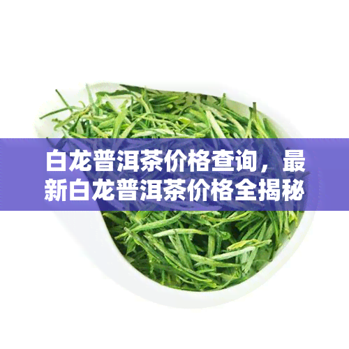 白龙普洱茶价格查询，最新白龙普洱茶价格全揭秘，一文带你了解市场行情！