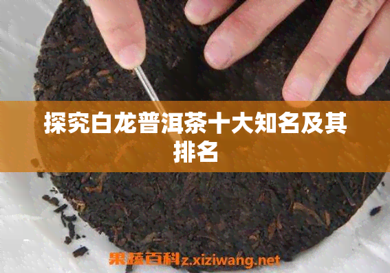 探究白龙普洱茶十大知名及其排名