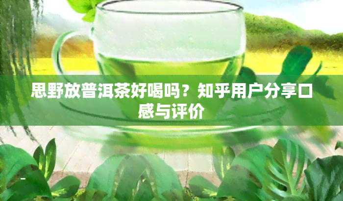 思野放普洱茶好喝吗？知乎用户分享口感与评价