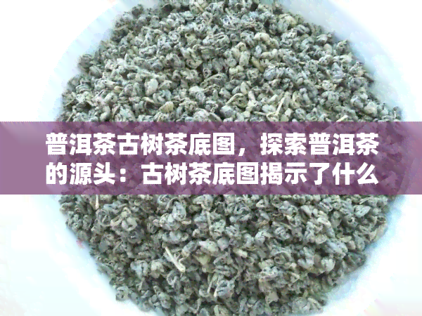 普洱茶古树茶底图，探索普洱茶的源头：古树茶底图揭示了什么？