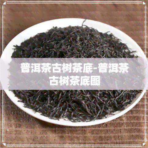 普洱茶古树茶底-普洱茶古树茶底图