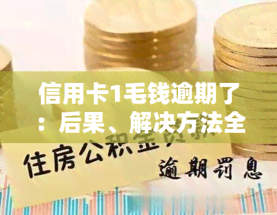 信用卡1毛钱逾期了：后果、解决方法全解析