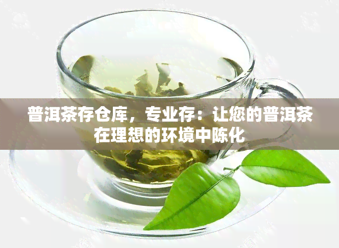 普洱茶存仓库，专业存：让您的普洱茶在理想的环境中陈化