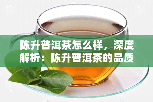 陈升普洱茶怎么样，深度解析：陈升普洱茶的品质与口感如何？